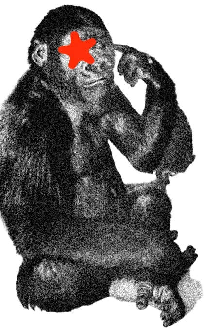 Time Koko